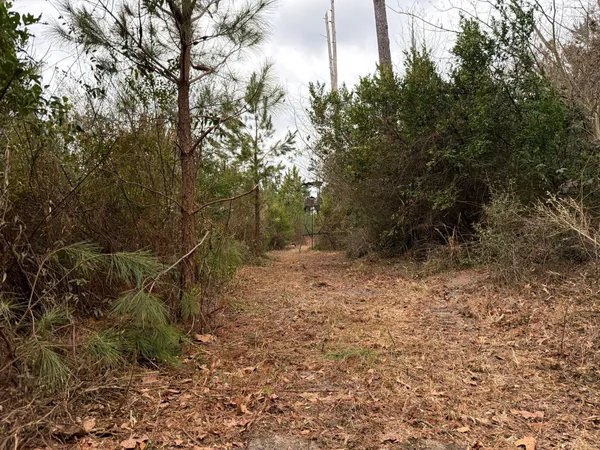 $69,900 | 3 J C J C Barefoot Road, Patrick, SC 29584