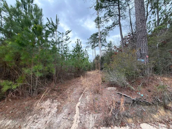 $69,900 | 3 J C J C Barefoot Road, Patrick, SC 29584