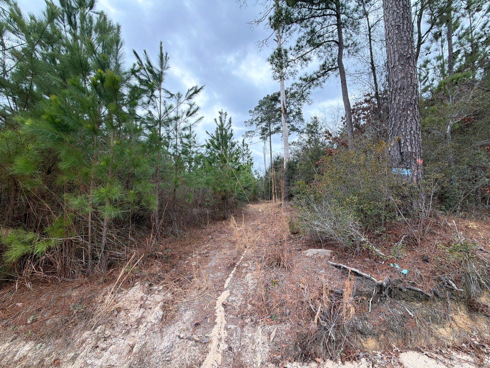 3 J C J C Barefoot Road Patrick, SC 29584 - Photo 4 of 17 21-Feb 11 2026 06_24pm-EX1u
