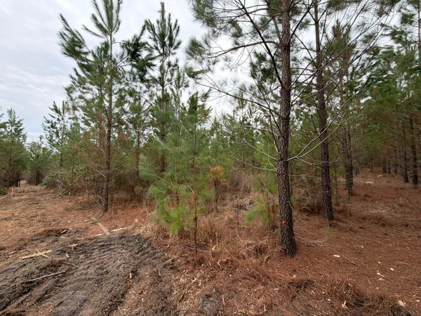 $69,900 | 3 J C J C Barefoot Road, Patrick, SC 29584