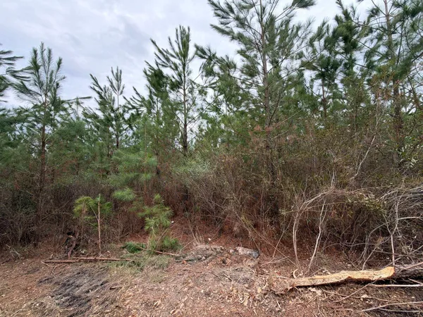 $69,900 | 3 J C J C Barefoot Road, Patrick, SC 29584