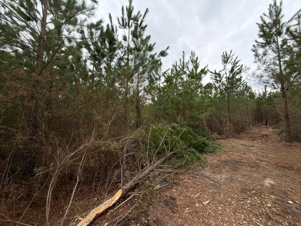 $69,900 | 3 J C J C Barefoot Road, Patrick, SC 29584