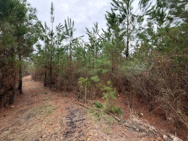 $69,900 | 3 J C J C Barefoot Road, Patrick, SC 29584