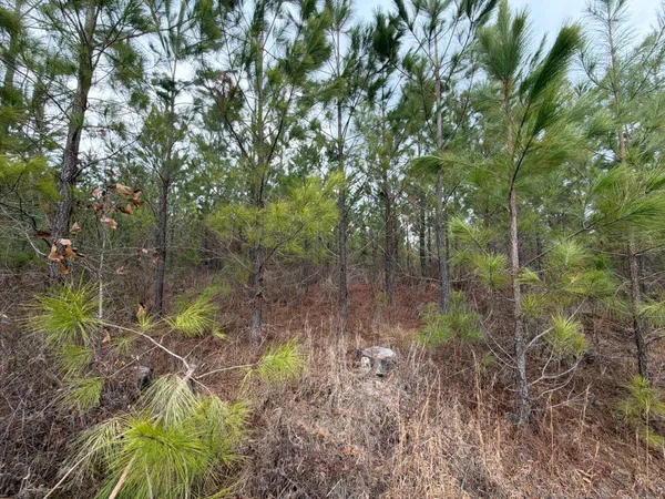 $69,900 | 3 J C J C Barefoot Road, Patrick, SC 29584
