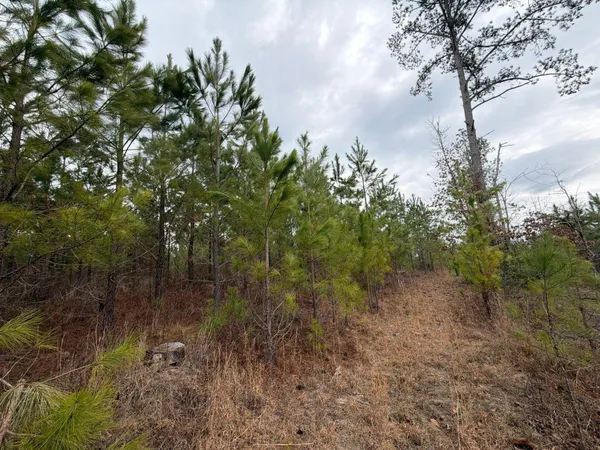 $69,900 | 3 J C J C Barefoot Road, Patrick, SC 29584