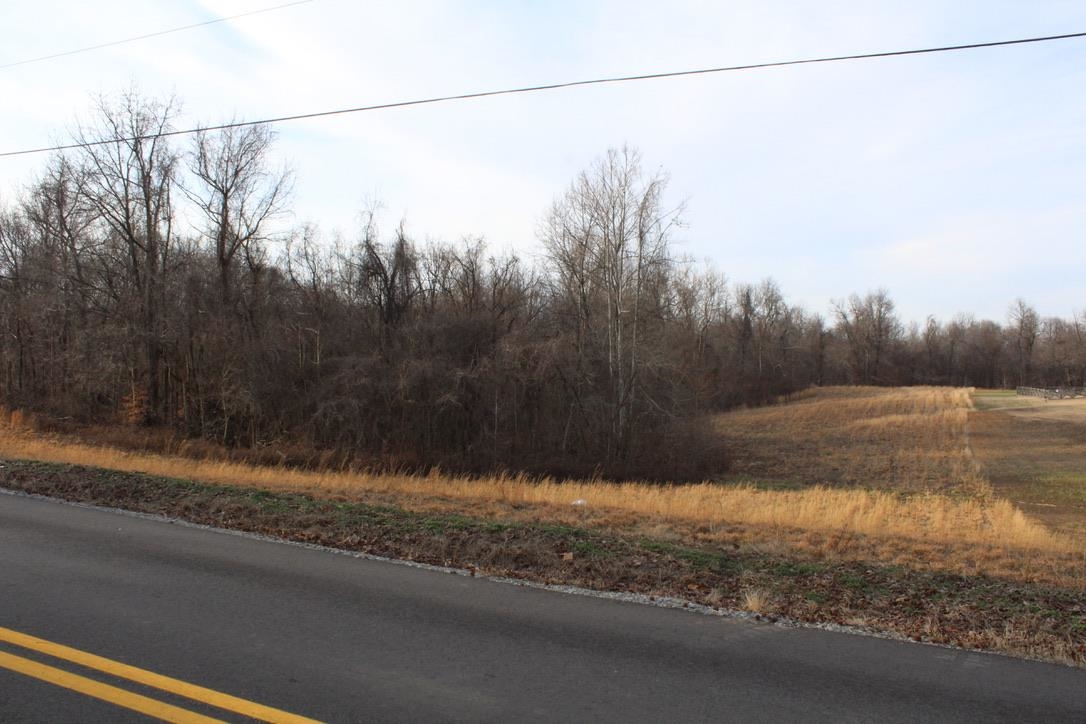0 Dolan Road Drummonds, TN 38023 - Photo 1 of 3 Gallery Image 1