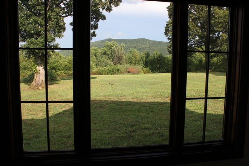 132 Springhouse Road Rocky Mount, VA 24151 - Photo 9 of 49 View from Dining Rm Window