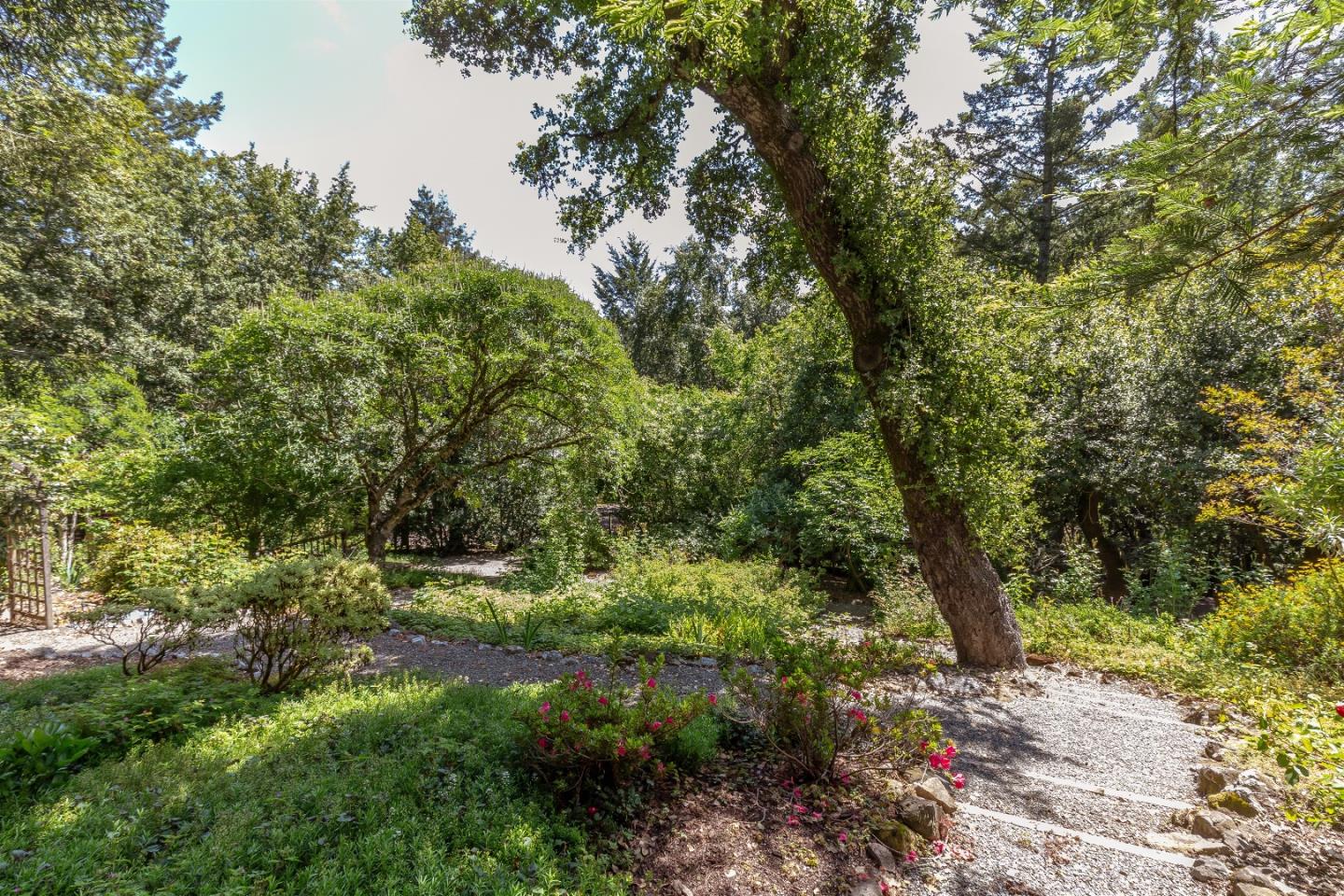 21661 Woolaroc Drive Los Gatos, CA 95033 - Photo 38 of 48 a view of a lush green forest