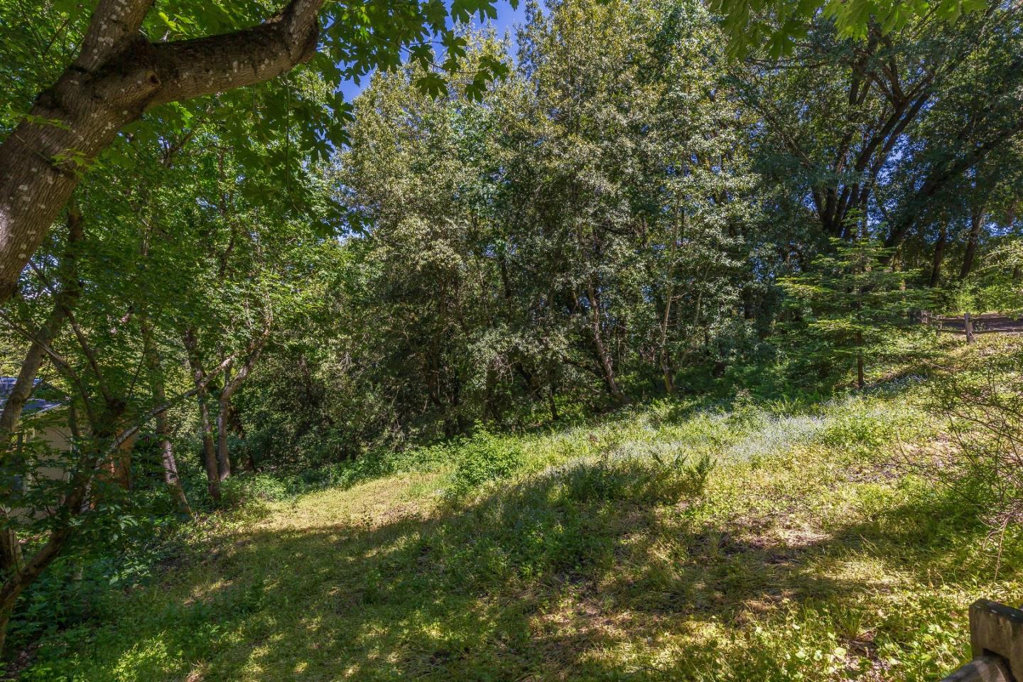 21661 Woolaroc Drive Los Gatos, CA 95033 - Photo 46 of 48 a view of a lush green space