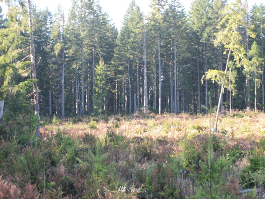 3070 Mason Benson Road East Grapeview, WA 98546 - Photo 1 of 1 Gallery Image 1