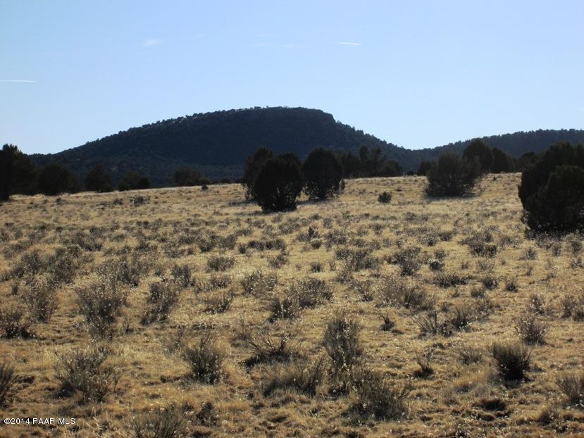 17 North Off Jolly Road Seligman, AZ 86337 - Photo 4 of 28 IMG_0050