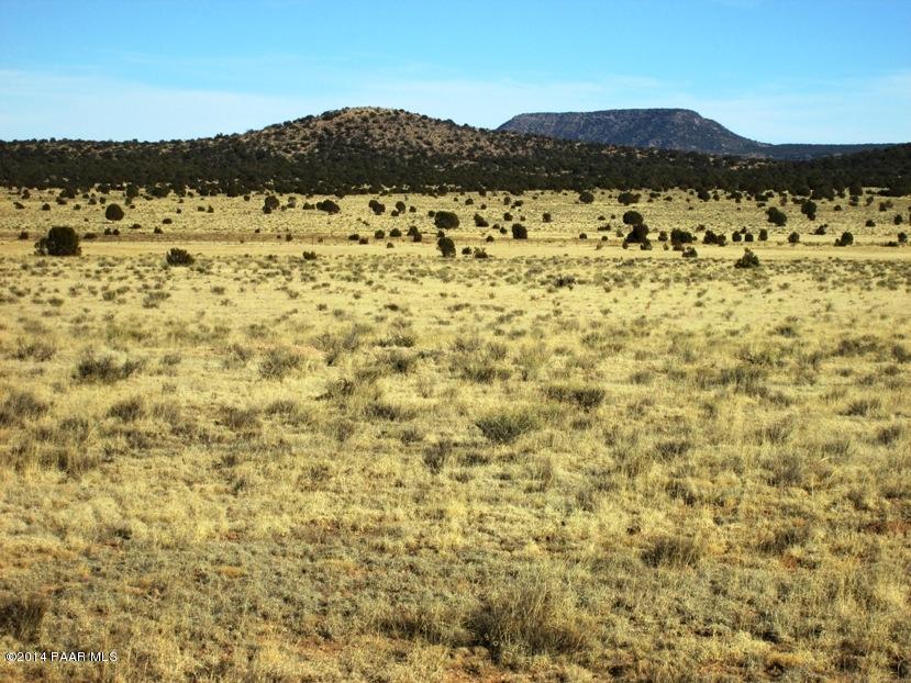 17 North Off Jolly Road Seligman, AZ 86337 - Photo 5 of 28 IMG_0051