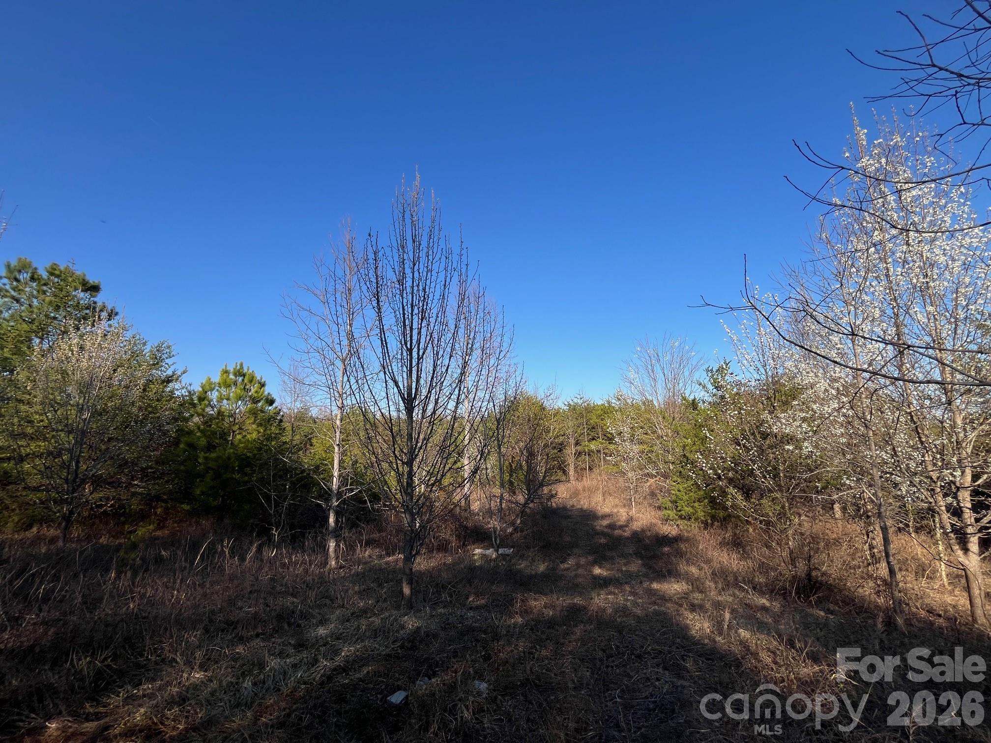 Tbd Southern Way Nebo, NC 28761 - Photo 20 of 22