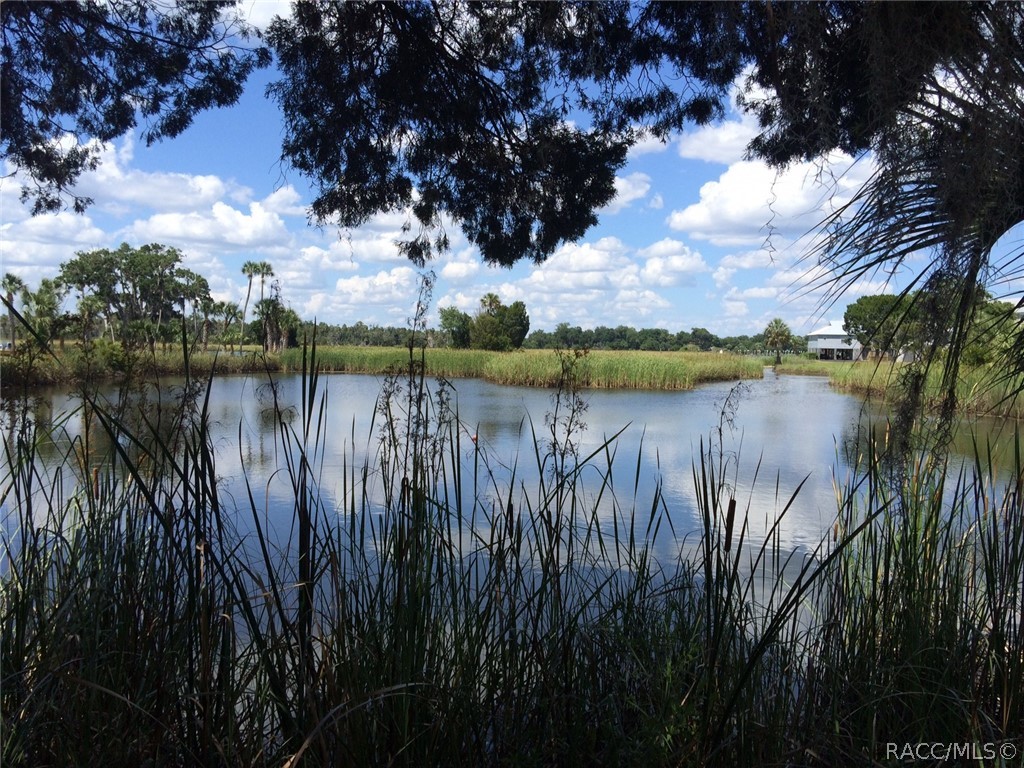 1504 North Foxboro Loop Crystal River, FL 34429 - Photo 46 of 52 Area GOLD! 1 of 7 area rivers, The Crystal River