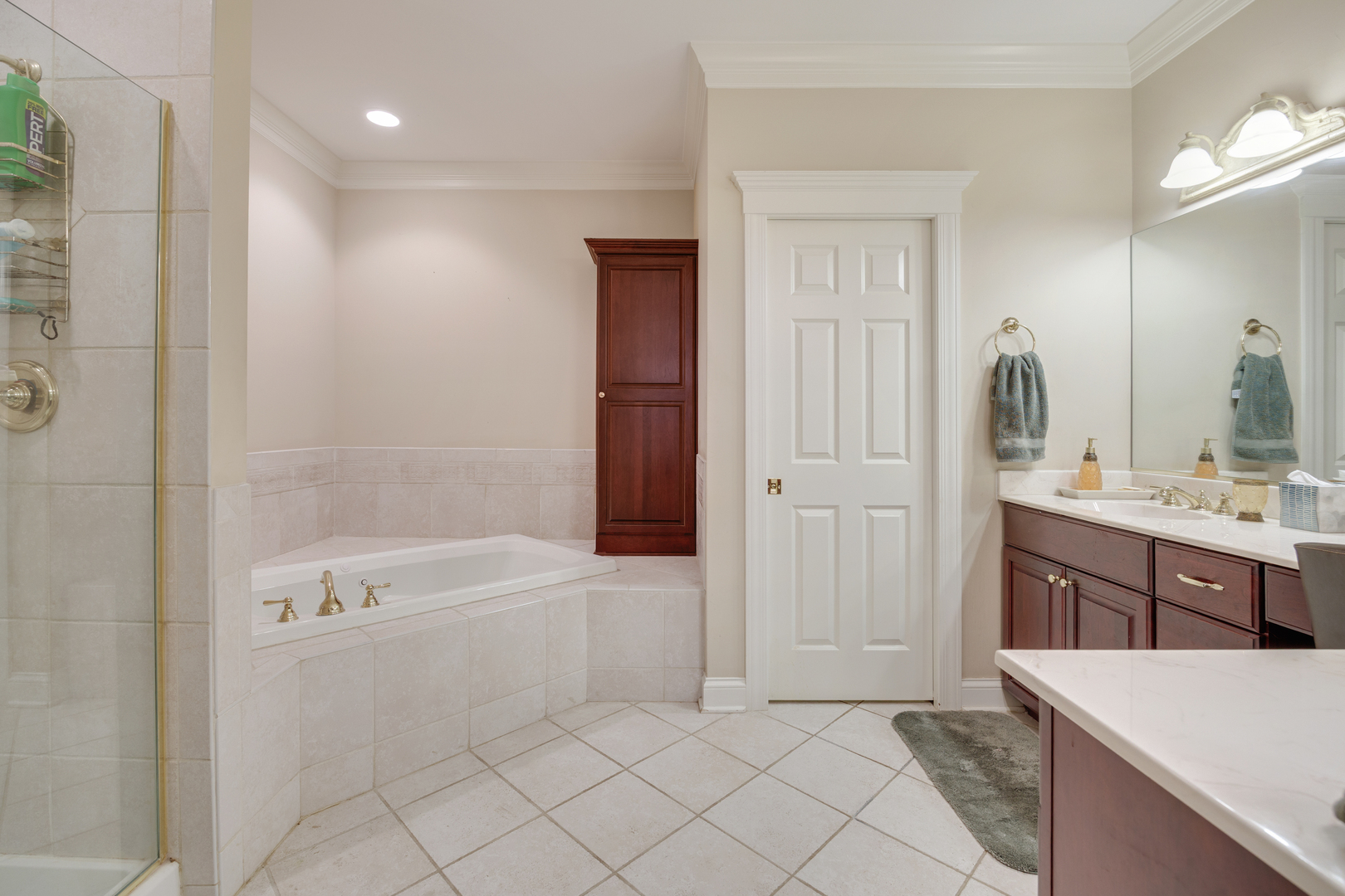 1789 Rizzi Lane Bartlett, IL 60103 - Photo 15 of 36