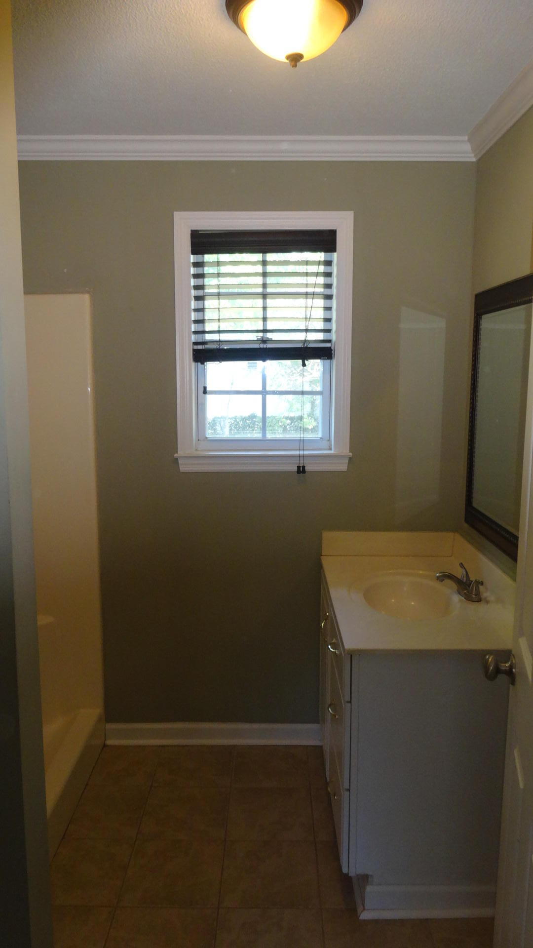 1532 Joiner Road Chattanooga, TN 37421 - Photo 6 of 11 DSC02406 (1)