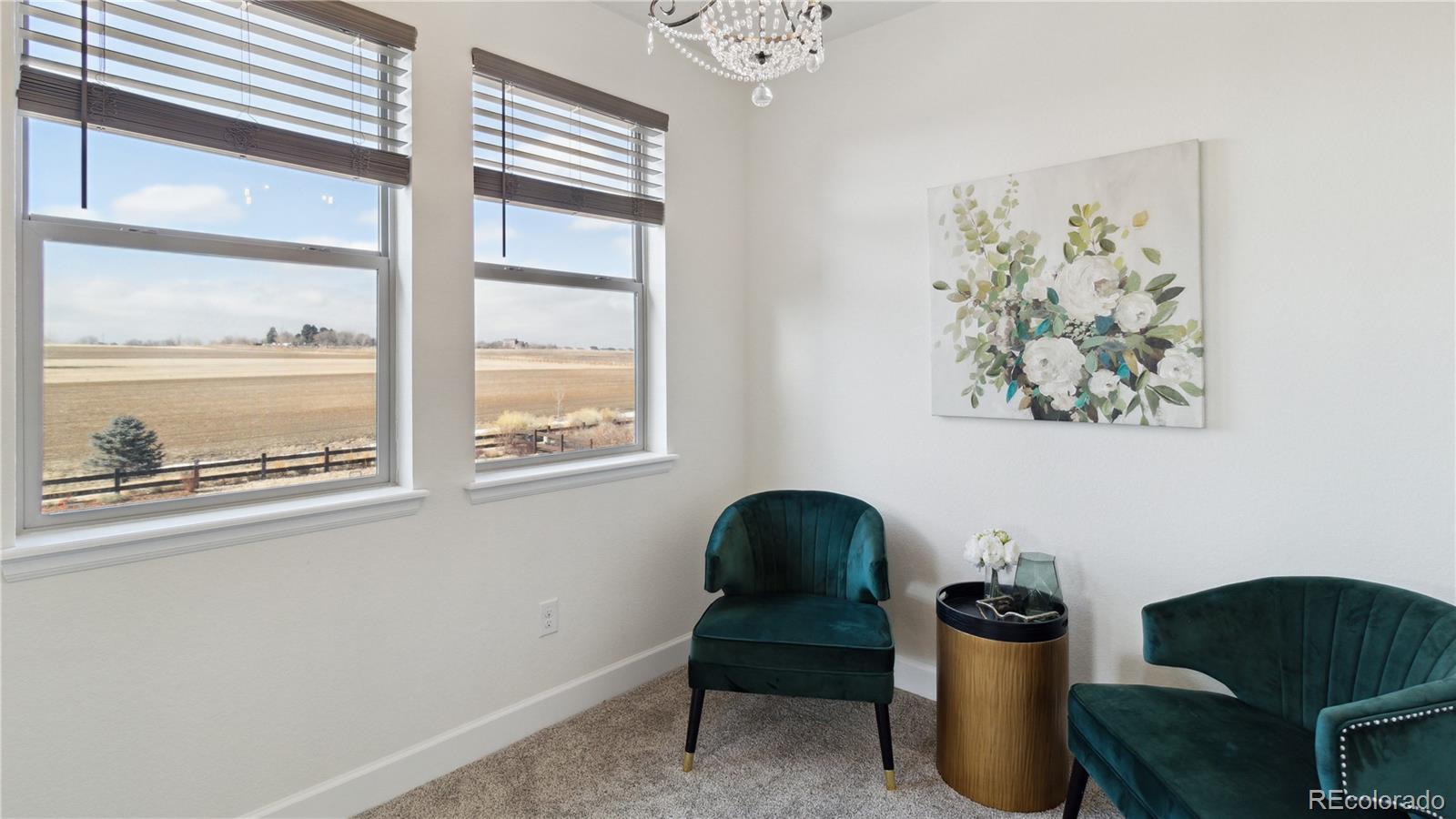 953 Compass Drive Erie, CO 80516 - Photo 31 of 50