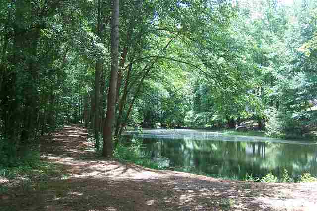 117 Roberts Farm Road Simpsonville, SC 29681 - Photo 24 of 24 Gallery Image 24