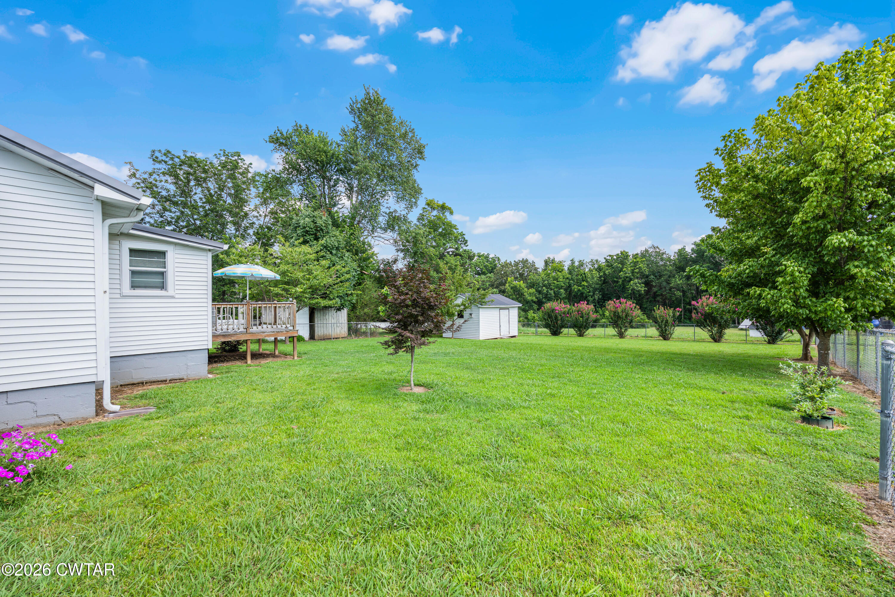238 Holmes Street Trezevant, TN 38258 - Photo 22 of 25 Backyard