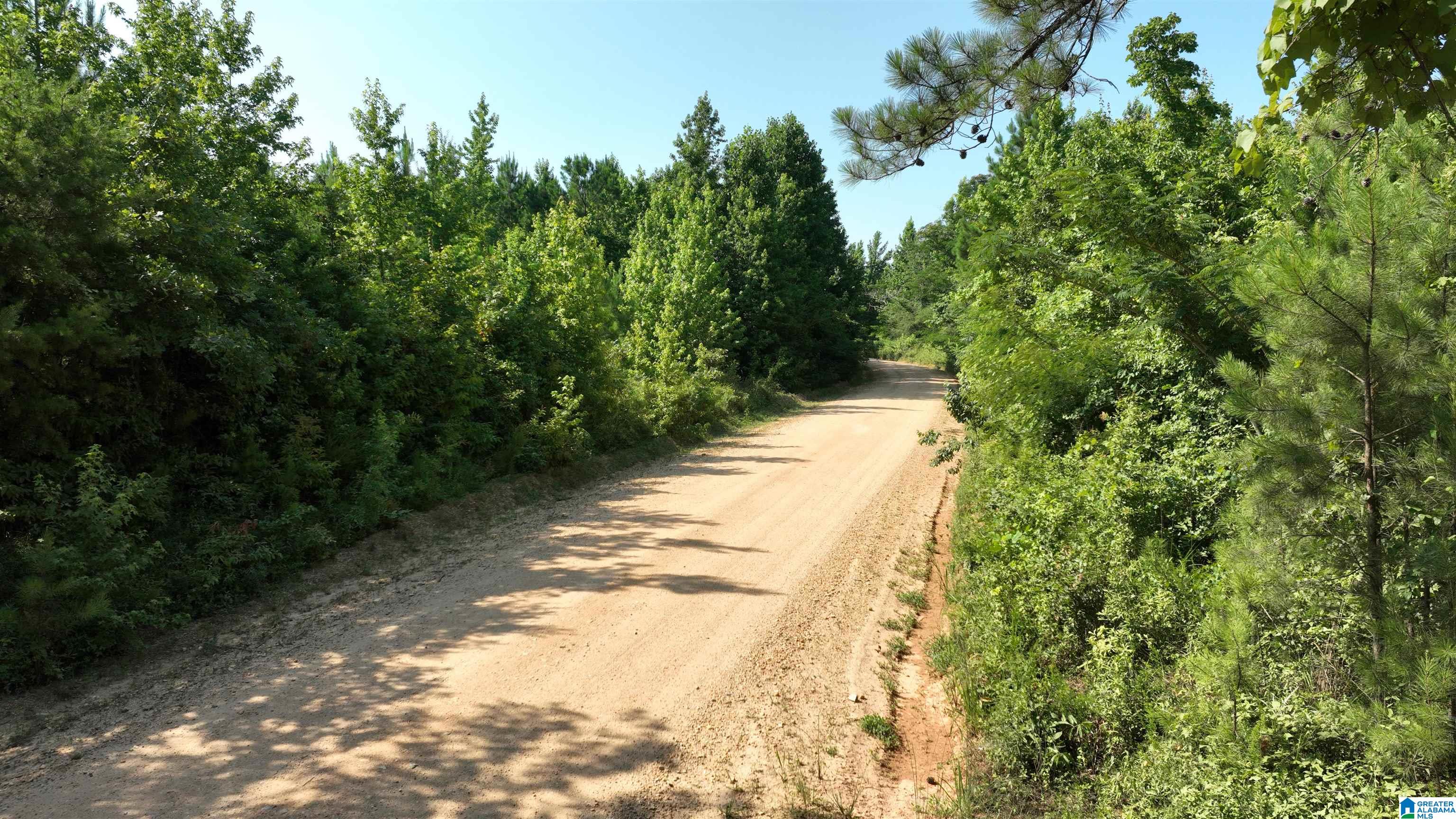 2 County Road 253, Unit 2 Clanton, AL 35046 - Photo 9 of 40