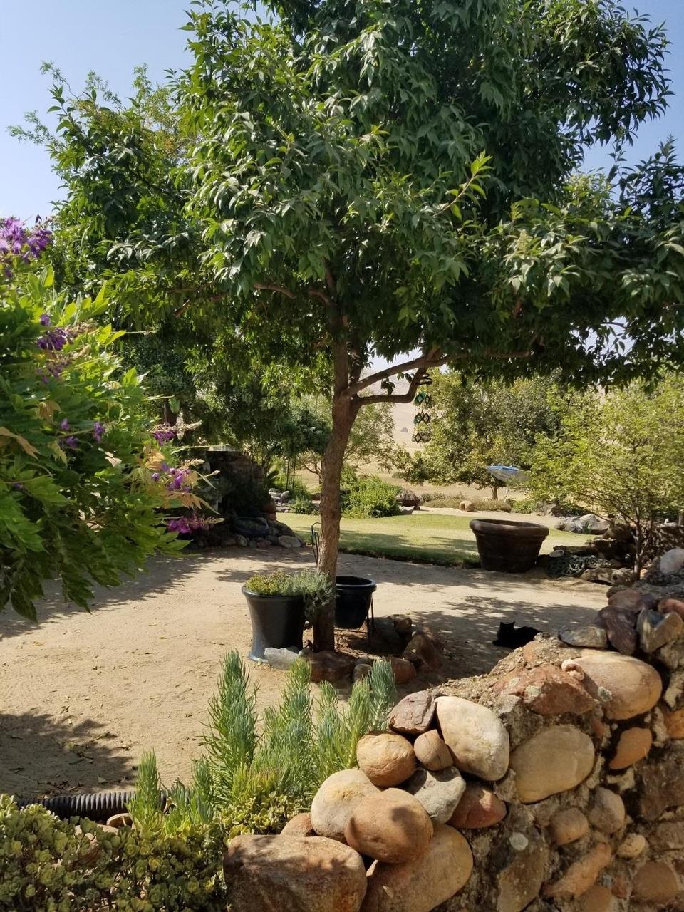 20351 Thermal Road Sanger, CA 93657 - Photo 6 of 40