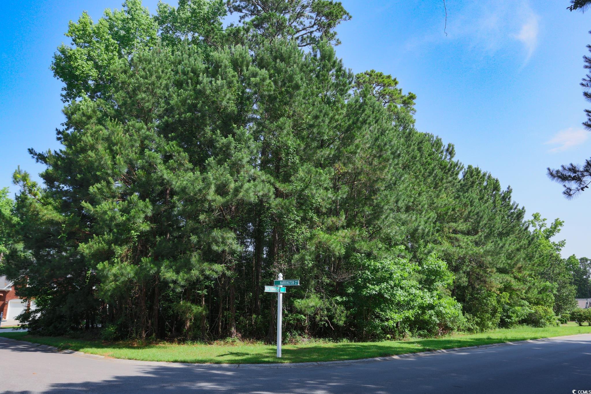 131 Waterhall Drive Murrells Inlet, SC 29576 - Photo 1 of 29