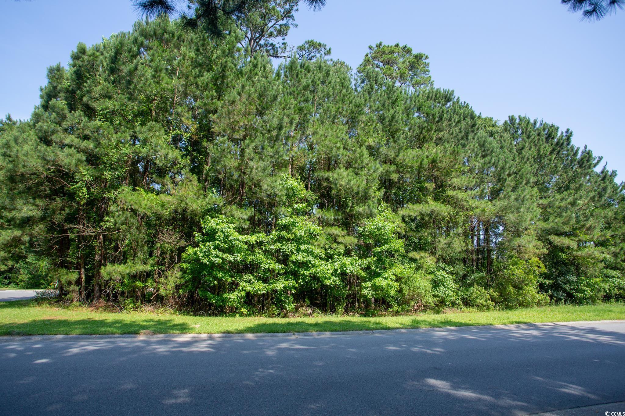 131 Waterhall Drive Murrells Inlet, SC 29576 - Photo 11 of 29