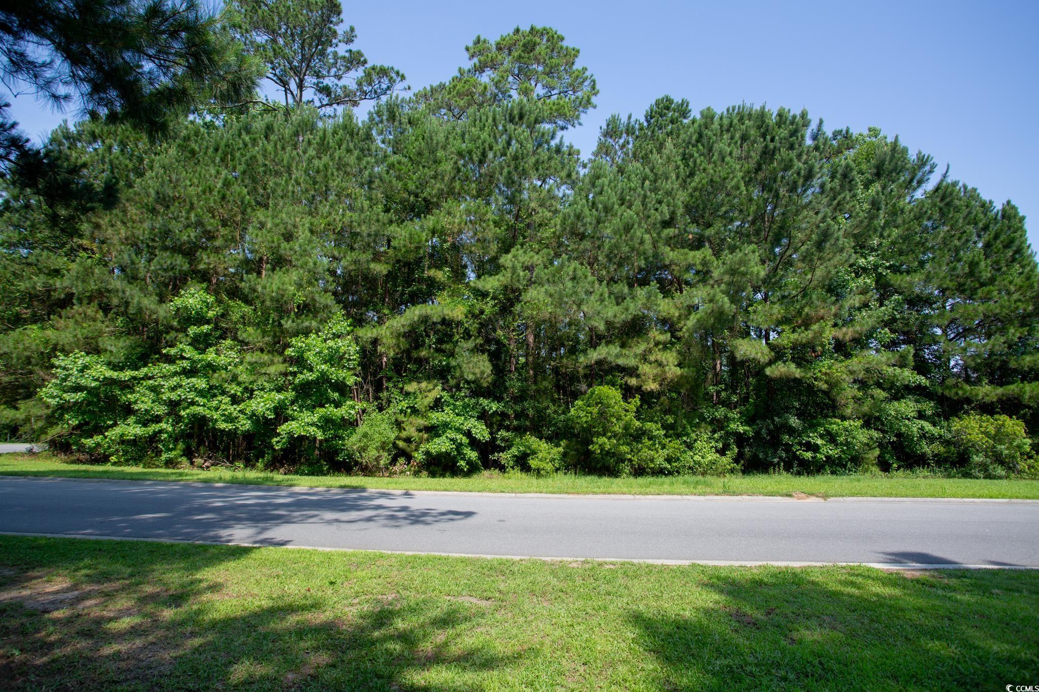 131 Waterhall Drive Murrells Inlet, SC 29576 - Photo 12 of 29