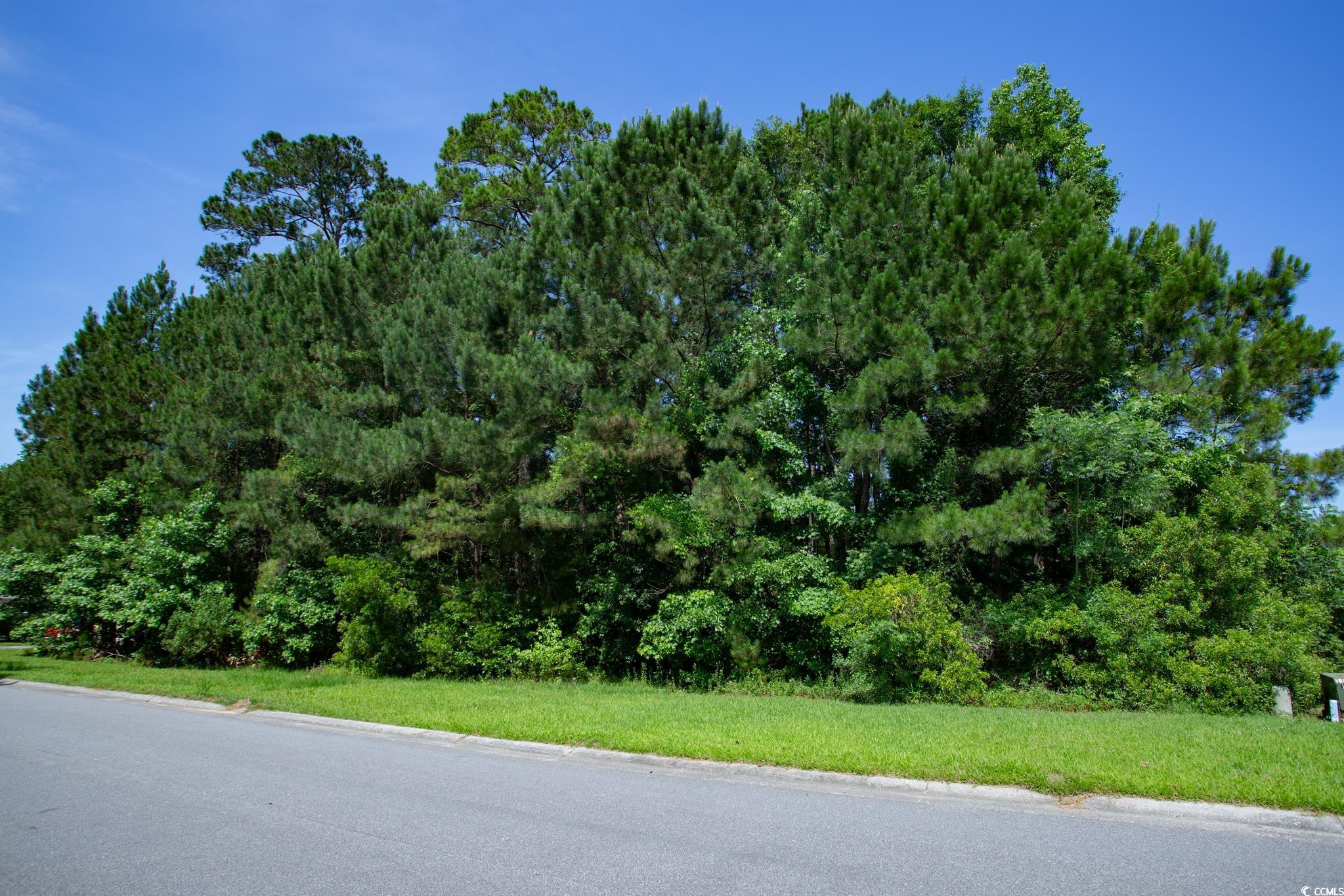 131 Waterhall Drive Murrells Inlet, SC 29576 - Photo 13 of 29