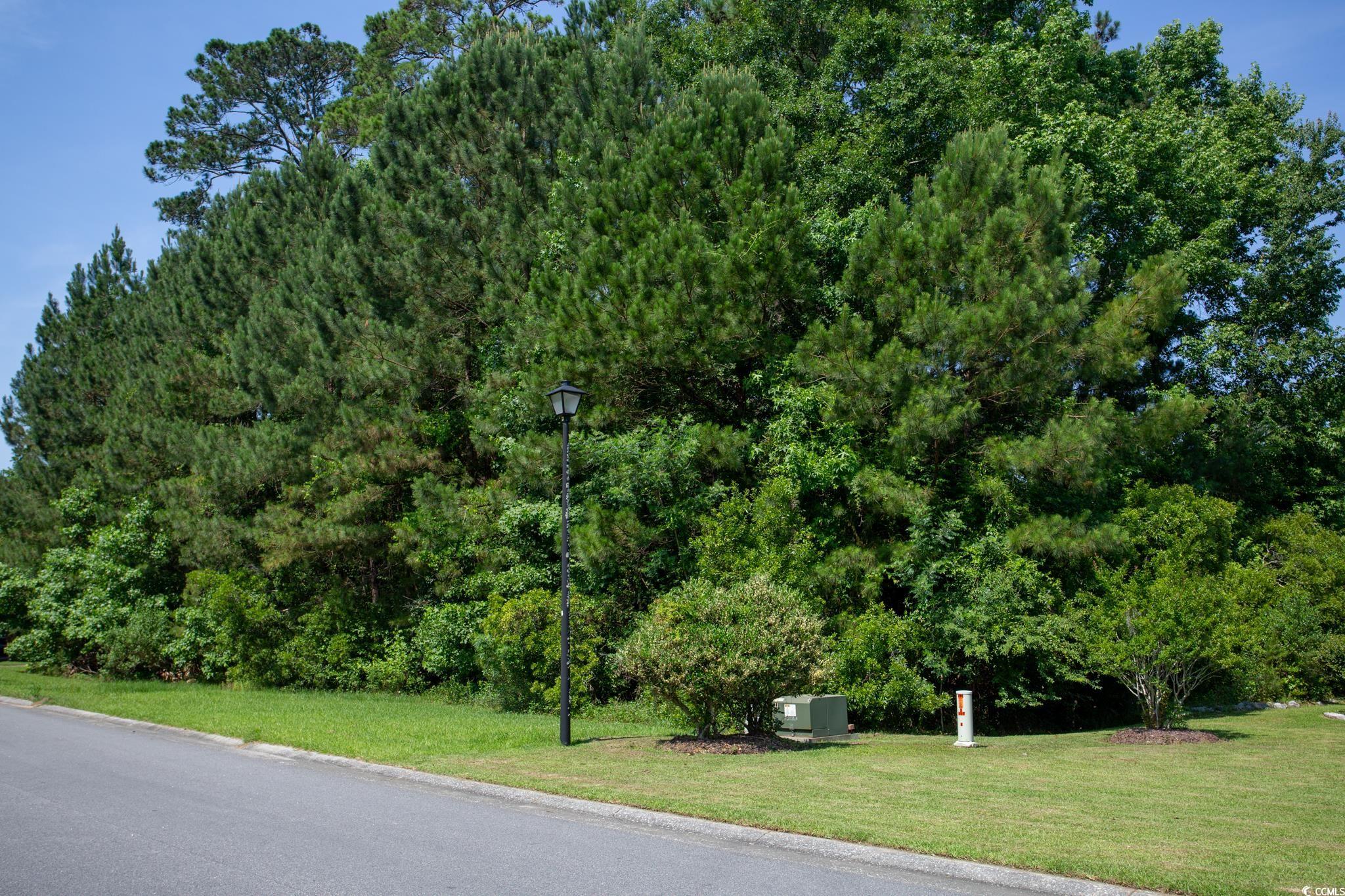 131 Waterhall Drive Murrells Inlet, SC 29576 - Photo 14 of 29