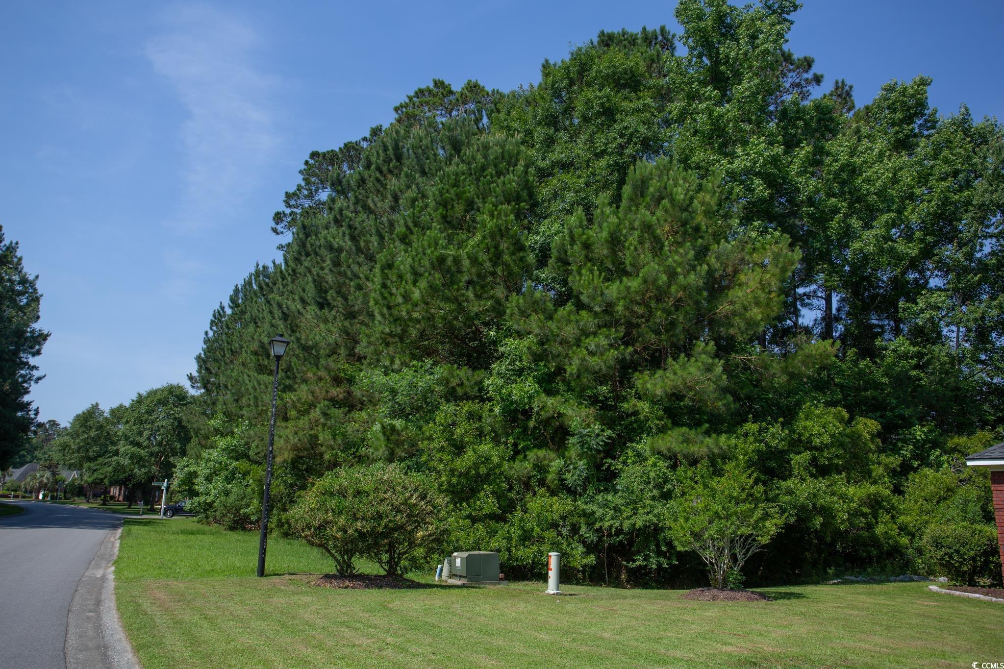 131 Waterhall Drive Murrells Inlet, SC 29576 - Photo 16 of 29
