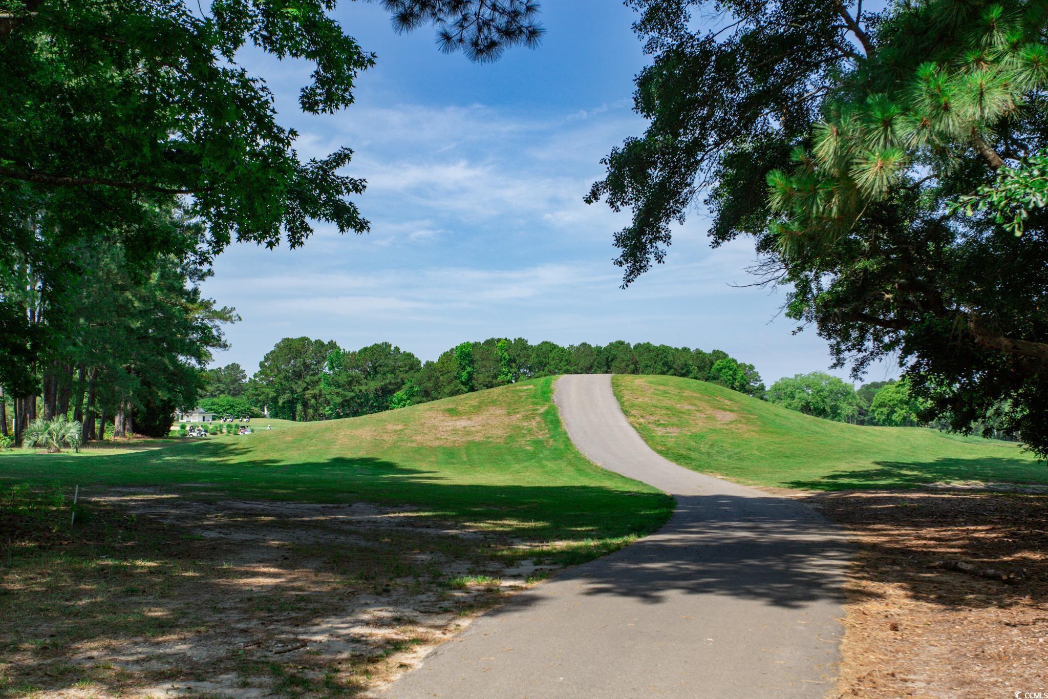 131 Waterhall Drive Murrells Inlet, SC 29576 - Photo 18 of 29