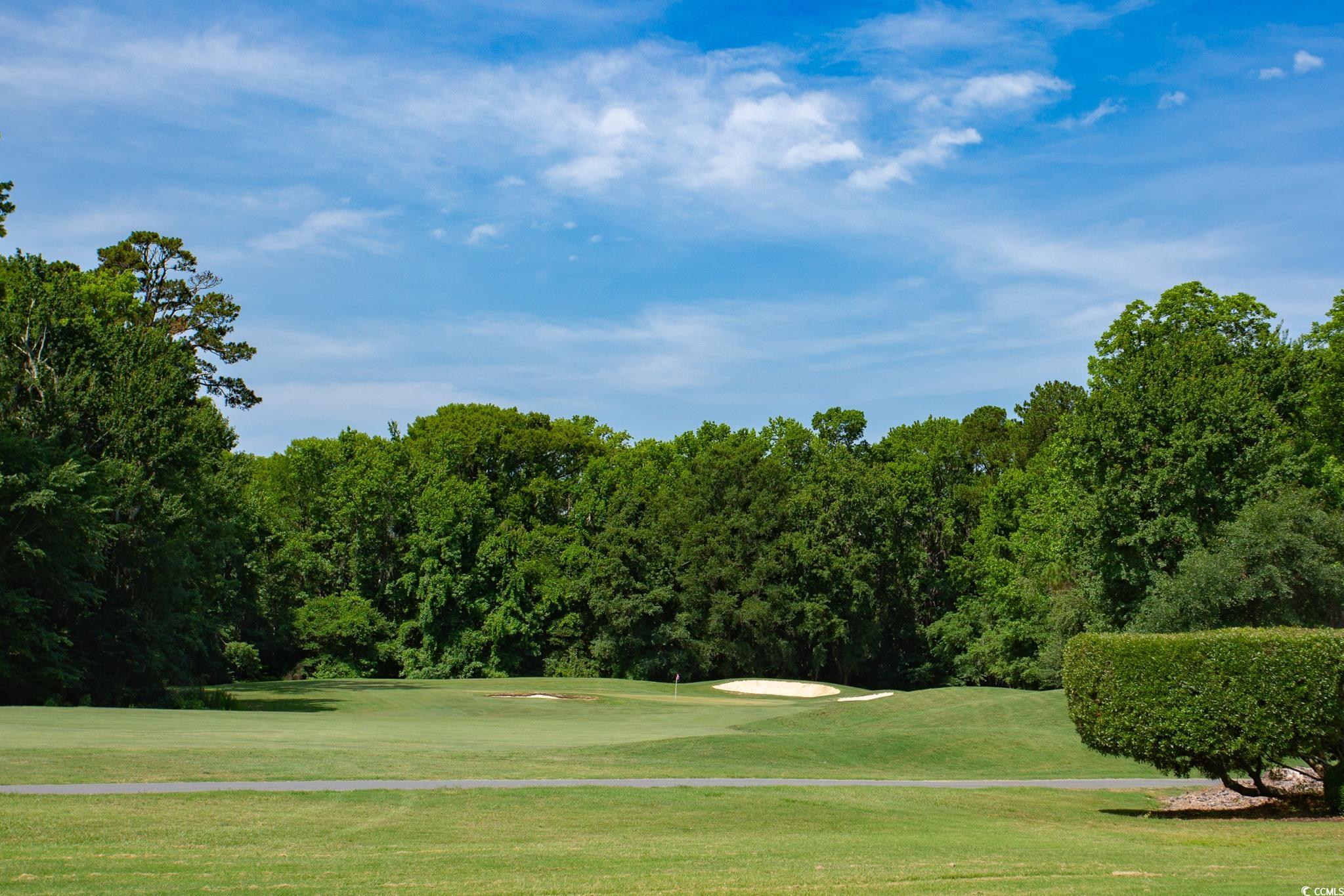131 Waterhall Drive Murrells Inlet, SC 29576 - Photo 24 of 29