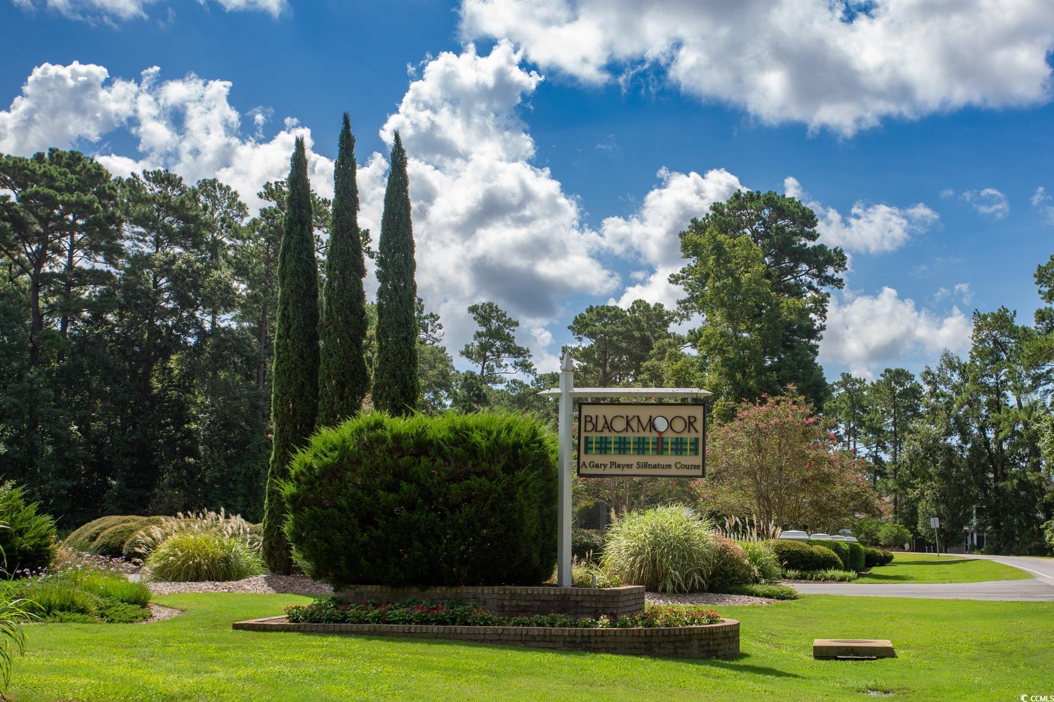 131 Waterhall Drive Murrells Inlet, SC 29576 - Photo 28 of 29