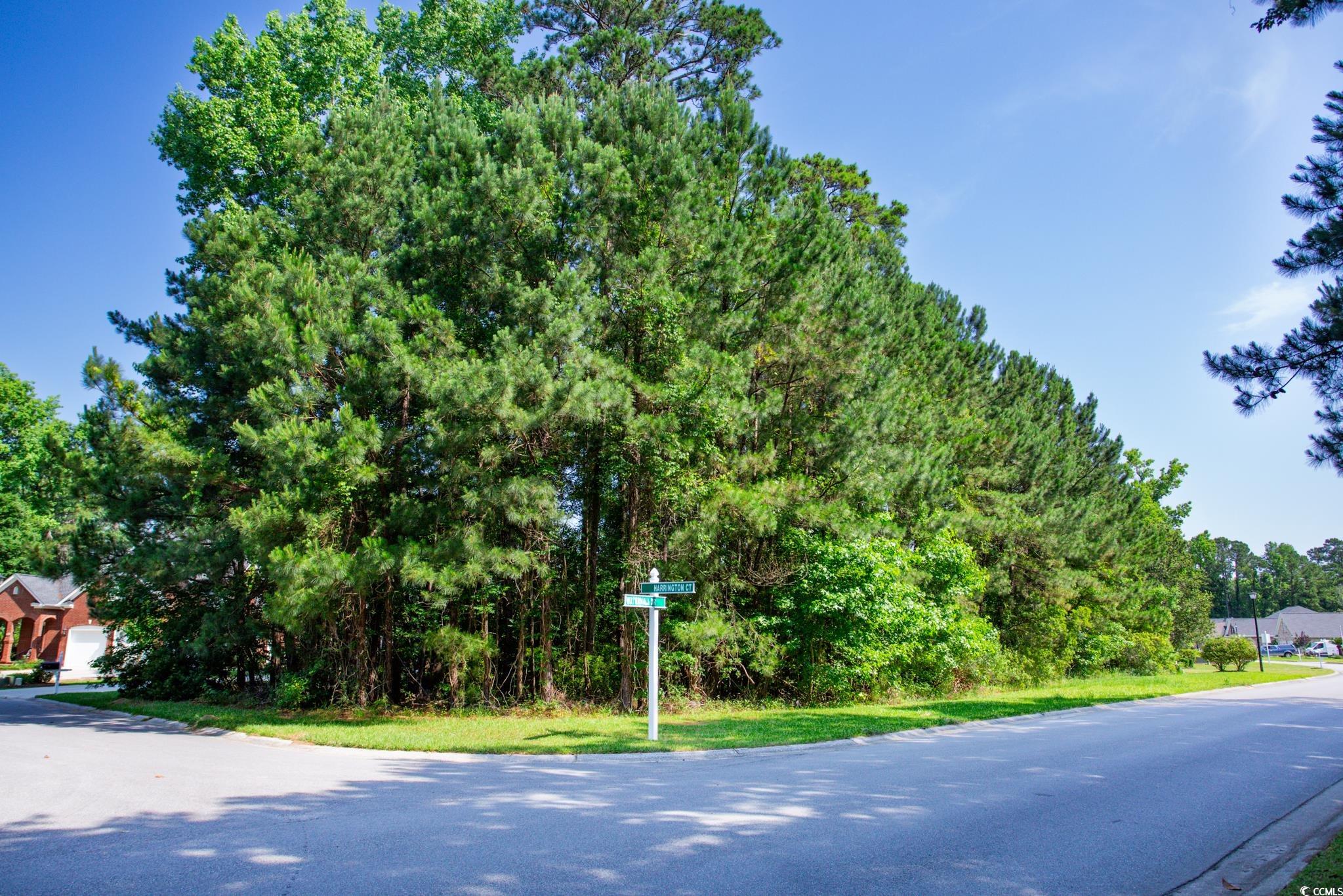 131 Waterhall Drive Murrells Inlet, SC 29576 - Photo 3 of 29