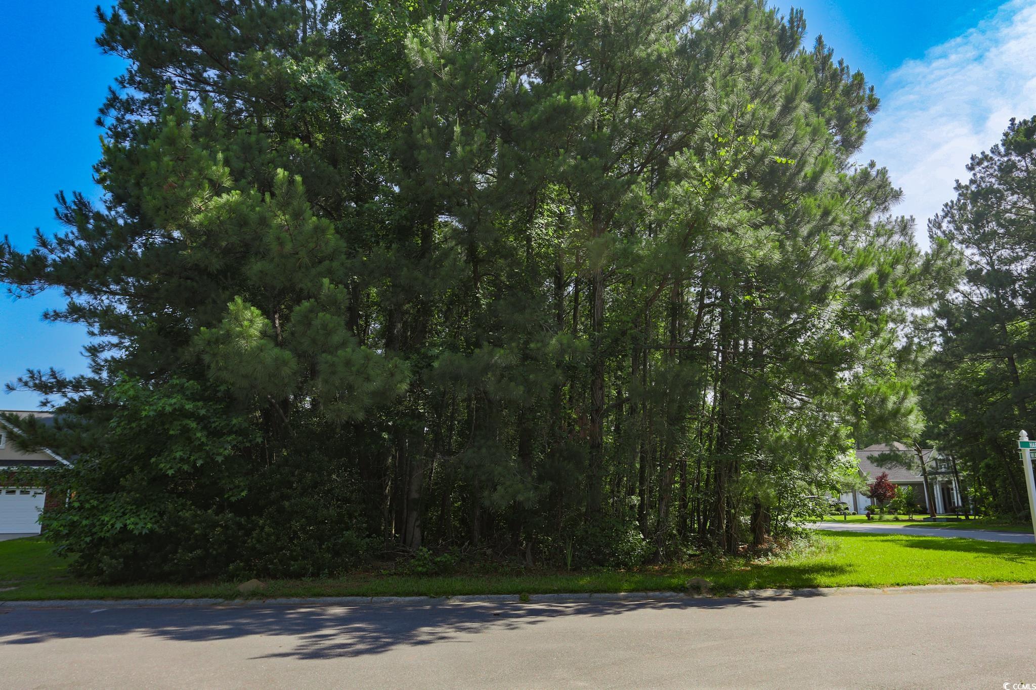 131 Waterhall Drive Murrells Inlet, SC 29576 - Photo 4 of 29