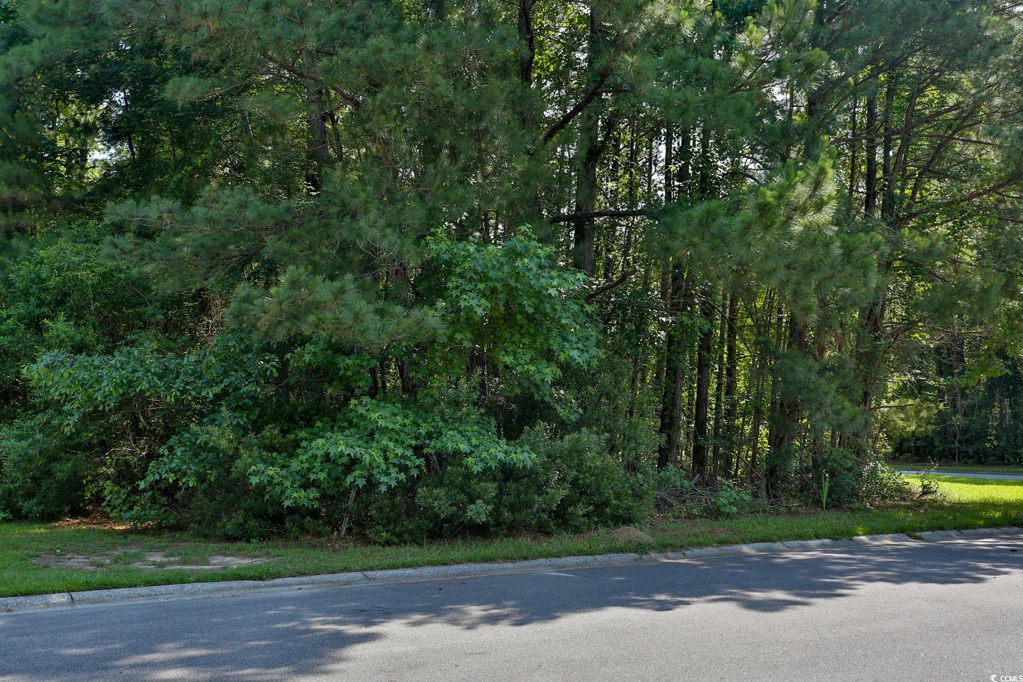 131 Waterhall Drive Murrells Inlet, SC 29576 - Photo 6 of 29