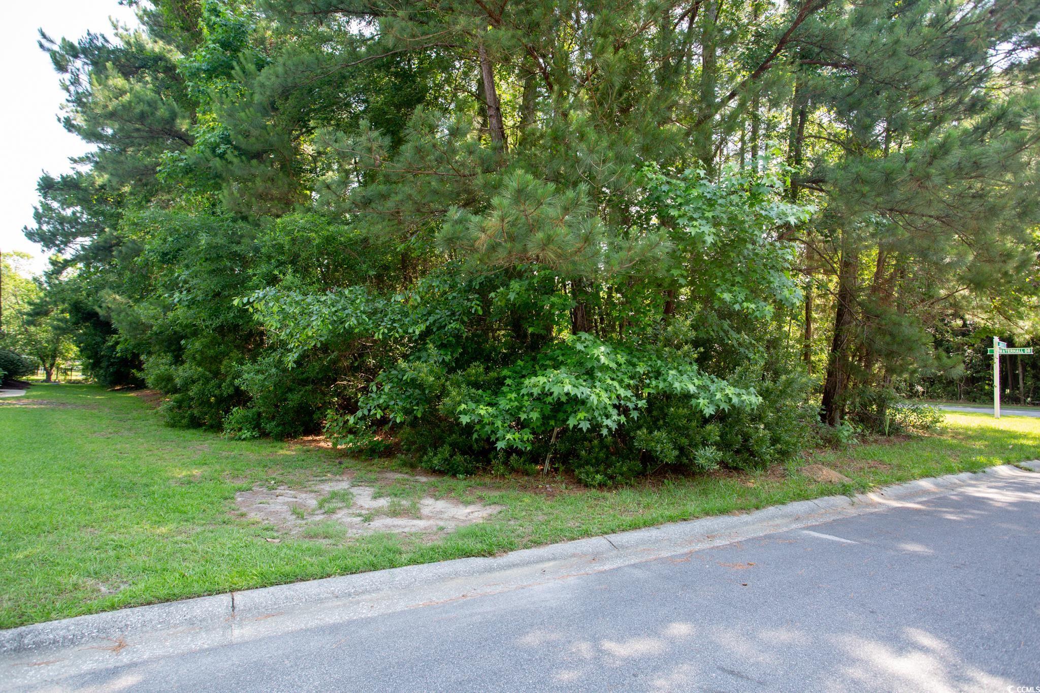 131 Waterhall Drive Murrells Inlet, SC 29576 - Photo 8 of 29