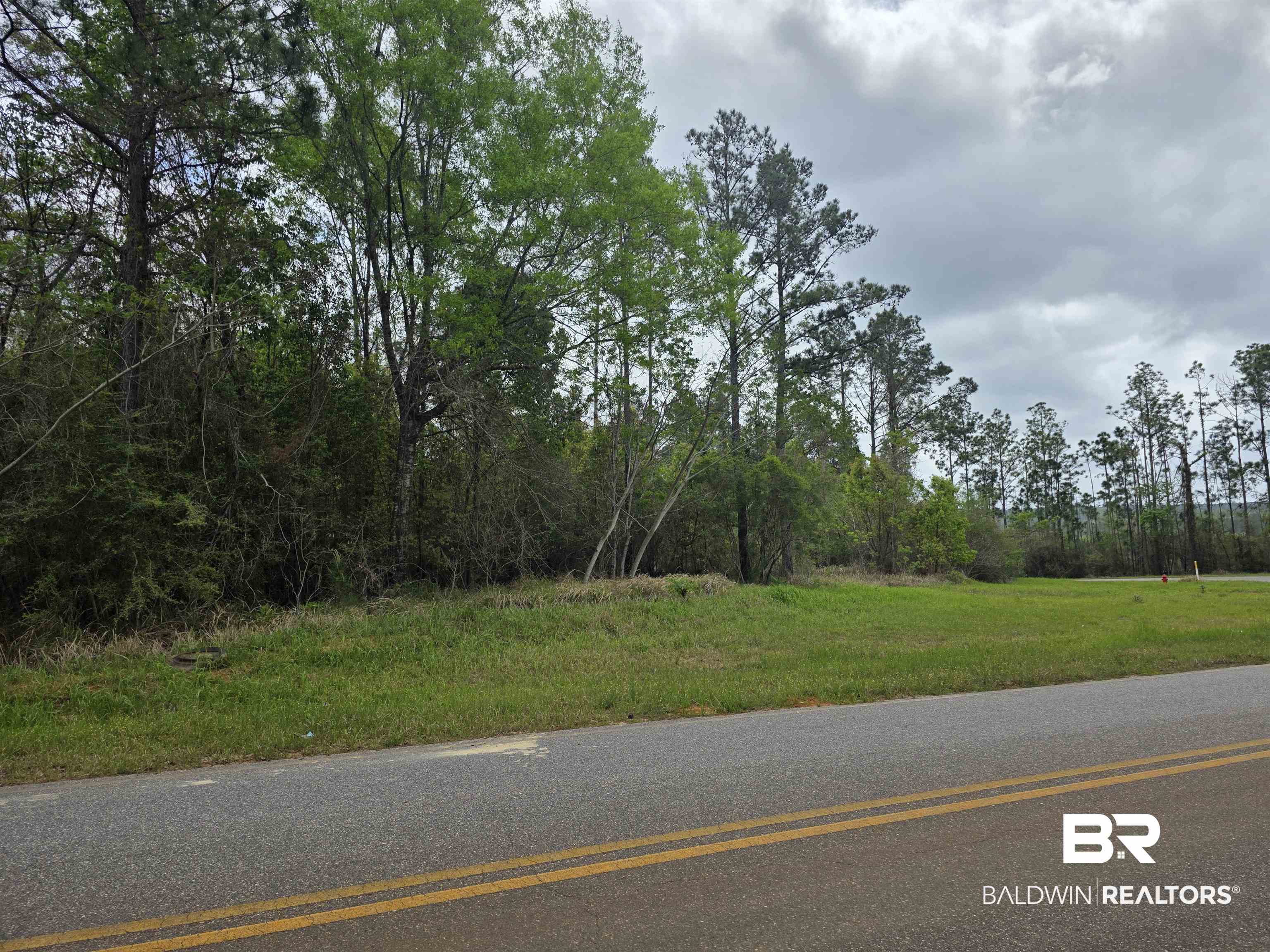 11631 Red Hill Rd Extension Bay Minette, AL 36507 - Photo 5 of 18 View of asphalt road