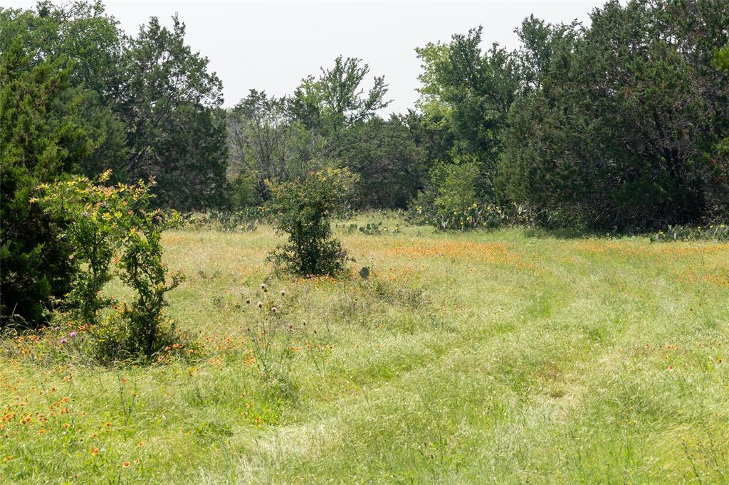 12283 Crows Ranch Road Salado, TX 76571 - Photo 3 of 5 a view of outdoor space and trees