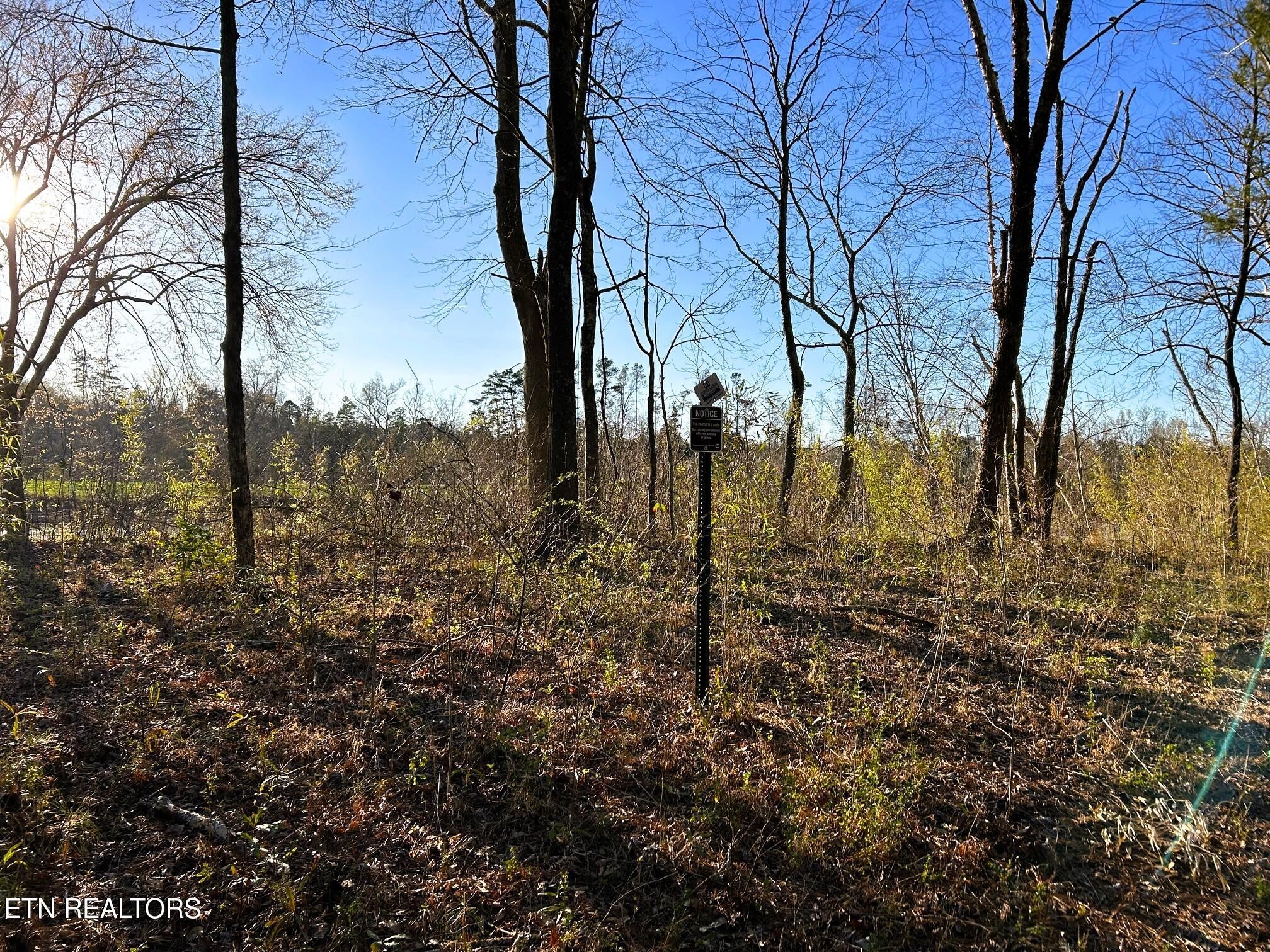 4 County Road 950 Charleston, TN 37310 - Photo 2 of 15