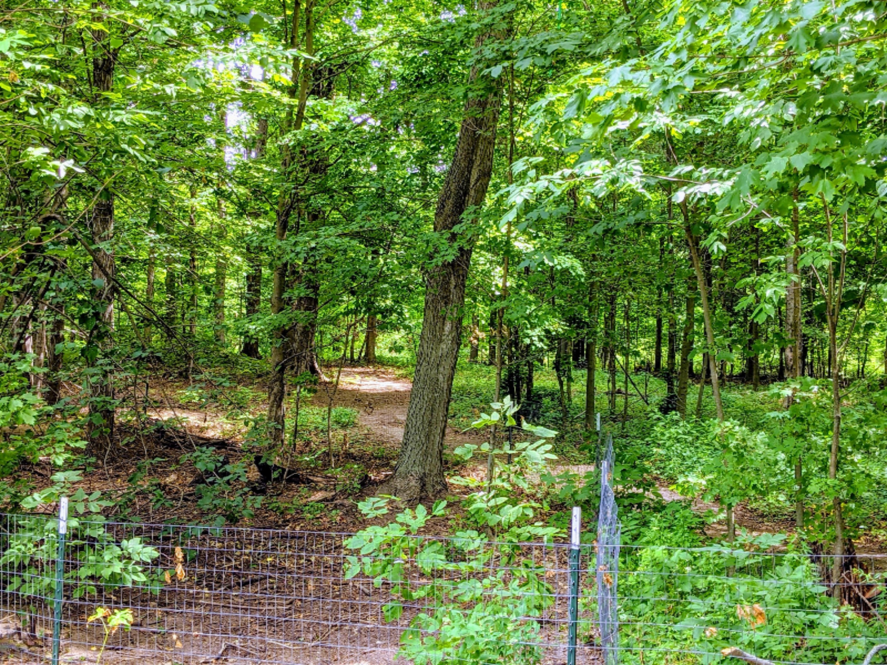 1980 South Stone Road Fremont, MI 49412 - Photo 60 of 65 IMG_20200714_121028