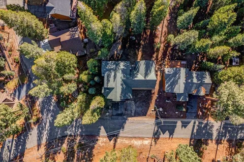 a view of a yard with plants and trees