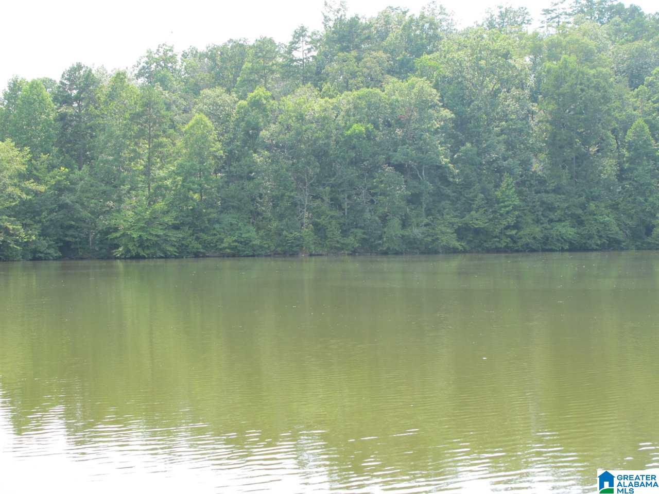 Lot # County Road 88, Unit 6 Wedowee, AL 36278 - Photo 3 of 7