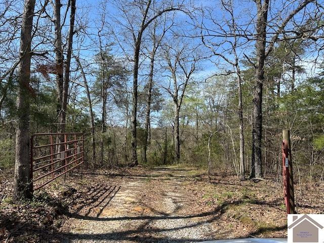 0 Markham Road Dawson Springs, KY 42408 - Photo 1 of 9 Photo 1