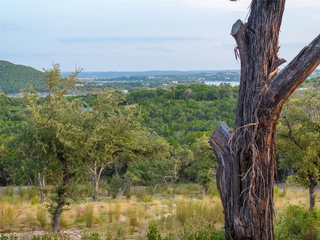 a view of a lake with houses in the back
