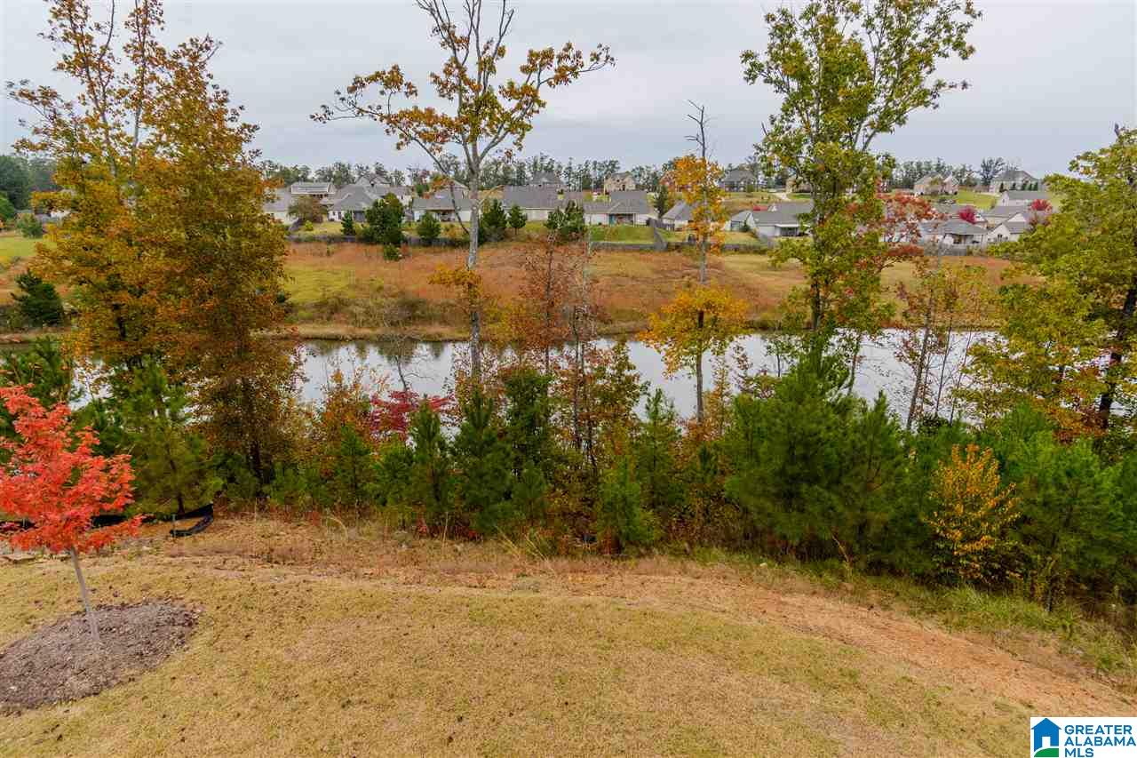 346 Blackberry Boulevard Springville, AL 35146 - Photo 26 of 32
