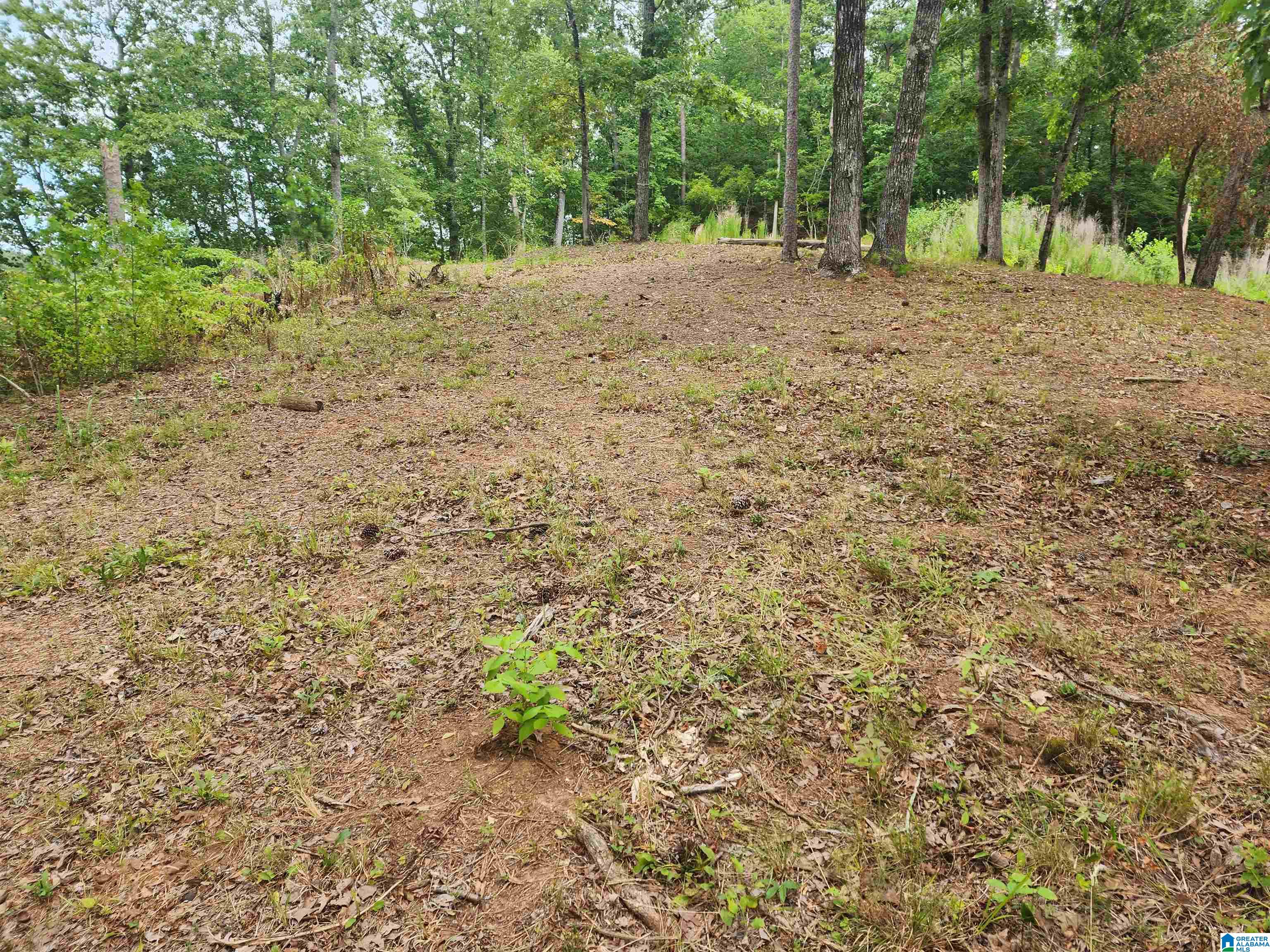 Lot 8 Eagle Mountain Road, Unit 8 Alexander City, AL 35010 - Photo 18 of 27