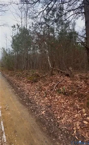 a view of a yard with trees