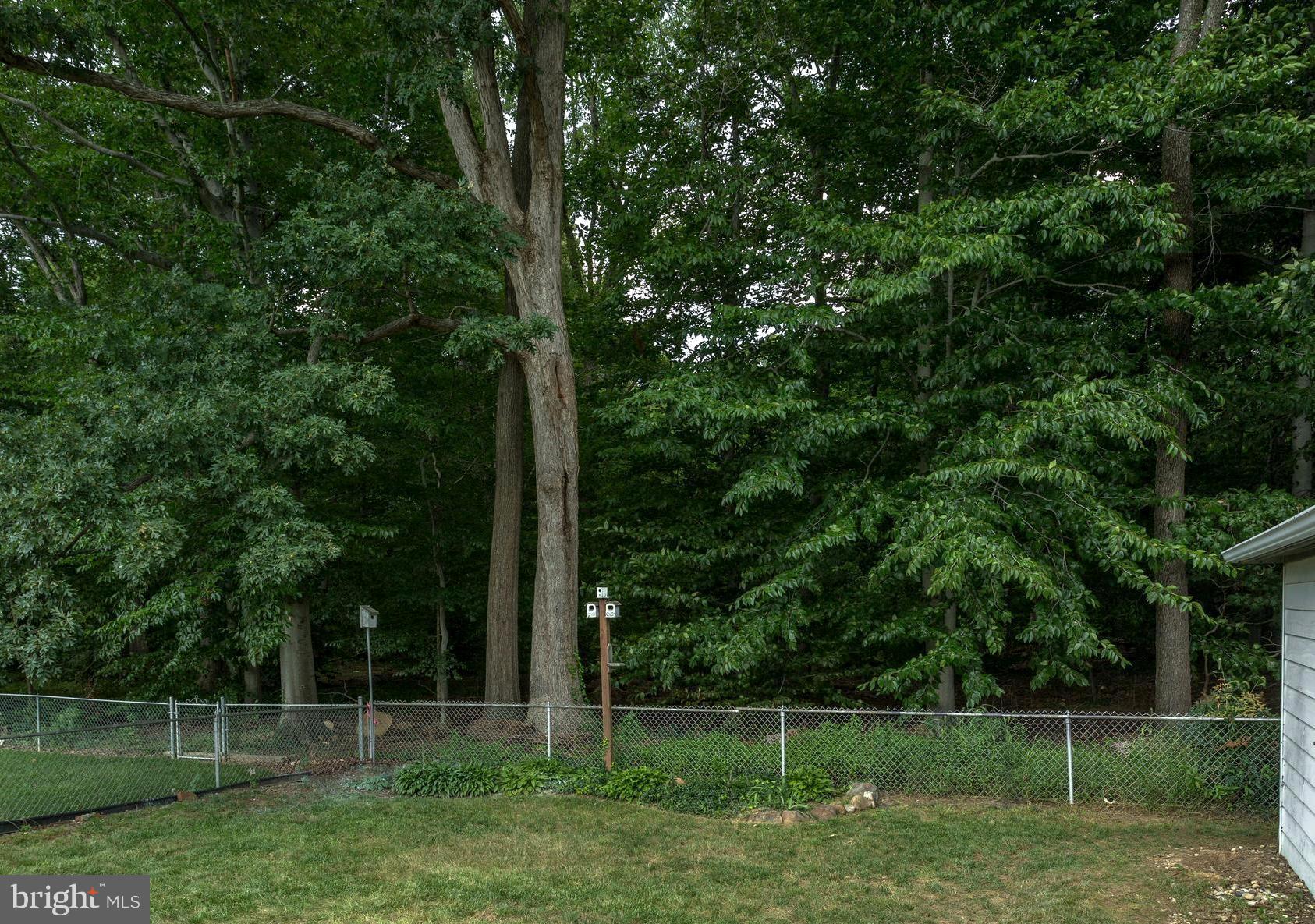 7017 Quander Road Alexandria, VA 22307 - Photo 29 of 30 a backyard of a house with lots of green space